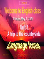 Unit 3 Language focus