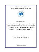 Luận văn Thạc sĩ Kinh tế: Nhận diện và đo lường văn hóa tổ chức tại Ngân hàng thương mại cổ phần Sài Gòn Thương Tín (Sacombank)