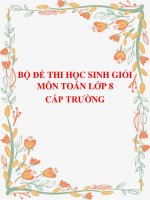 Bộ đề thi học sinh giỏi môn Toán lớp 8 cấp trường