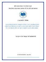 Luận văn Thạc sĩ Kinh tế: Giải pháp hoàn thiện công tác Marketing cho sản phẩm ắc quy gắn máy kín tại Công ty Cổ phần Pin ắc quy miền Nam giai đoạn 2014 - 2020