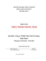 THỰC TẬP TRẠI HEO NÁI NEWHOPE