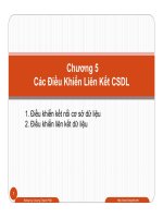 Bài giảng Lập trình Web ASP.Net: Chương 5 - Dương Thành Phết