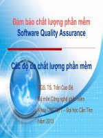 Bài giảng Đảm bảo chất lượng phần mềm: Chương 4 - PGS.TS. Trần Cao Đệ