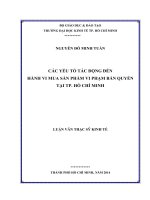 Luận văn Thạc sĩ Kinh tế: Các yếu tố tác động đến hành vi mua sản phẩm vi phạm bản quyền tại Tp. Hồ Chí Minh