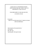 Khảo sát cách dùng một số hư từ trọng yếu trong lĩnh nam chích quái    