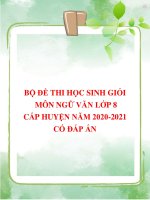 Bộ đề thi học sinh giỏi môn Ngữ văn lớp 8 cấp huyện năm 2020-2021 có đáp án