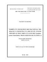 Nghiên cứu thành phần mọt hại ngô sau thu hoạch và ảnh hưởng của một số yếu tố sinh thái đến sự phát triển của loài mọt sitophilus zeamais motschulsky trong kho bảo quản ở sơn la TT 