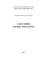 Giáo trình Tin học đại cương: Phần 1 - Phạm Quang Dũng