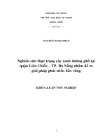 Nghiên cứu thực trạng cây xanh đường phố tại quận liên chiểu – TP  đà nẵng nhằm đề ra giải pháp phát triển bền vững 