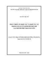 Luận văn Thạc sĩ Quản lý kinh tế: Phát triển tổ hợp tác và hợp tác xã trong sản xuất kinh doanh chè tại TP Thái Nguyên