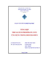 Luận văn tốt nghiệp tổng hợp tricalcium phosphate (TCP) ứng dụng trong bioceramics 