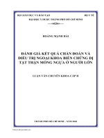 Đánh giá kết quả chẩn đoán và điều trị ngoại khoa biến chứng dị tật thận móng ngựa ở người lớn 