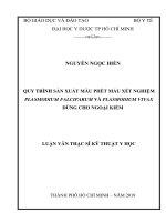 Quy trình sản xuất mẫu phết máu xét nghiệm plasmodium falciparum và plasmodium vivax dùng cho ngoại kiểm 