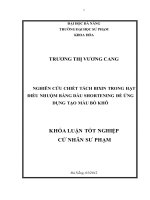 Nghiên cứu chiết tách bixin trong hạt điều nhuộm bằng dầu shortening để ứng dụng tạo màu bò khô 