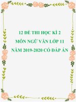 12 đề thi học kì 2 môn Ngữ văn lớp 11 năm 2019-2020 có đáp án