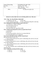 Đề thi học kì 2 môn Khoa học lớp 4 năm 2019-2020 có đáp án - Trường Tiểu học Kim Đồng