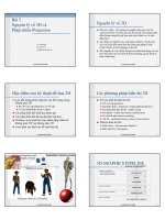 Bài giảng Bài 5: Nguyên lý về 3D và phép chiếu - Projection (8 trang) - Lê Tấn Hùng