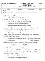 Đề thi học kì 2 môn Khoa học lớp 5 năm 2019-2020 - Trường Tiểu học Phú Châu
