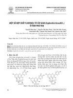 Một số hợp chất flavonol từ cây Giao (Euphorbia tirucalli L.) ở tỉnh Phú Thọ