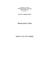 Hương rừng cà mau 