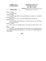 Đề thi học kì 2 môn Vật lí lớp 8 năm 2019-2020 có đáp án - Trường THCS Nguyễn Thị Lựu