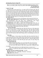 Báo cáo nhân một trường hợp trichobezoars dạ dày