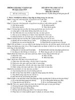 Đề thi học kì 2 môn GDCD lớp 6 năm 2019-2020 có đáp án - Phòng GD&ĐT huyện Tân Yên