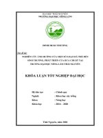 Nghiên cứu ảnh của của một số loại giá thể đến sinh trưởng và phát triển của dưa chuột tại trường đại học nông lâm thái nguyên 