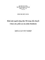 Hình ảnh người nông dân mĩ trong tiểu thuyết chùm nho phẫn nộ của john steinbeck 