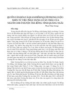 Quyền văn hóa và quan điểm người trong cuộc: Nhìn từ việc phục dựng lễ ăn trâu của người Cor ở huyện Trà Bồng tỉnh Quảng Ngãi