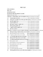 Phân tích báo cáo tài chính công ty cổ phần tập đoàn KIDO (tt) 