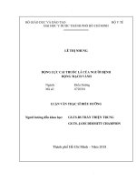 Động lực cai thuốc lá của người bệnh động mạch vành 