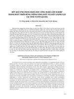 Kết quả ứng dụng khoa học công nghệ lâm nghiệp trong phát triển rừng trồng năng suất và chất lượng cao tại tỉnh Tuyên Quang