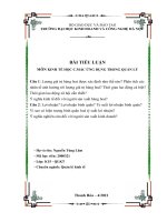 Tiểu luận - Kiểm tra môn Kinh tế học  C. Mac Ứng dung - Nguyễn Tùng Lâm K15 - Thanh Hóa