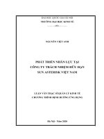 Luận văn thạc sĩ quản lý kinh tế (FULL) phát triển nhân lực tại công ty trách nhiệm hữu hạn sun asterisk việt nam 