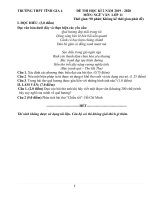 Đề thi học kì 2 môn Ngữ Văn lớp 11 năm 2019-2020 có đáp án - Trường THPT Tĩnh Gia 4