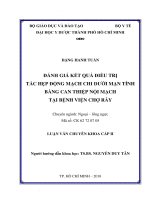 Đánh giá kết quả điều trị tắc hẹp động mạch chi dưới mạn tính bằng can thiệp nội mạch tại bệnh viện chợ rẫy 