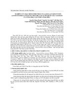 Nghiên cứu đặc điểm sinh thái của loài lan kim tuyến (Anoectochilus Setaceus Blume) tại vườn quốc gia Tam Đảo và vùng phụ cận tỉnh Vĩnh Phúc