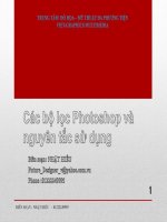 Bài giảng Các bộ lọc trong photoshop và nguyên tắc sử dụng