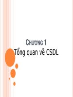 Bài giảng Cơ sở dữ liệu - Chương 1: Tổng quan về CSDL