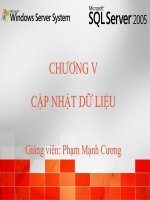 Bài giảng SQL server 2005: Chương 5 - Phạm Mạnh Cương