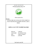 Khóa luận tốt nghiệp: Đánh giá hiệu quả sử dụng đất nông nghiệp tại trang trại Izar Azulai, Hatzeva, Arava, Israel