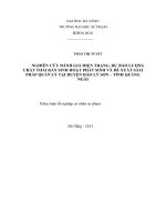 Nghiên cứu đánh giá hiện trạng, dự báo lượng chất thải rắn sinh hoạt phát sinh và đề xuất các giải pháp quản lý chất thải rắn sinh hoạt huyện đảo lý sơn   tỉnh quảng ngãi 