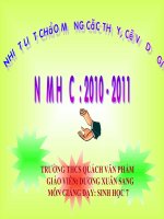 CAU TAO TRONG CUA CHIM BO CAU