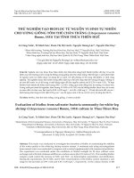 Thử nghiệm tạo biofloc từ nguồn vi sinh tự nhiên cho ương giống tôm thẻ chân trắng (Litopenaeus vanamei Boone, 1931) tại tỉnh Thừa Thiên Huế