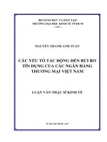 Tài liệu luận văn kinh tế Các Yếu Tố Tác Động Đến Rủi Ro Tín Dụng Của Các Ngân Hàng