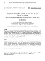 Động lượng từ trong Hán ngữ hiện đại và tri nhận chủ quan của chủ thể sử dụng