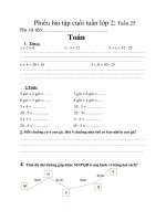 Phiếu bài tập cuối tuần môn Toán + Tiếng Việt lớp 2 năm học 2019-2020 - Trường Tiểu học Nguyễn Văn Bá (Tuần 25)