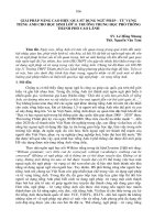 Giải pháp nâng cao hiệu quả sử dụng ngữ pháp – từ vựng tiếng Anh cho học sinh lớp 11 trường trung học phổ thông thành phố Cao Lãnh