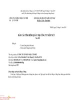 CÔNG TY CỔ PHẦN NHỰA TÂN PHÚ. BÁO CÁO TÌNH HÌNH QUẢN TRỊ CƠNG TY NIÊM YẾT Năm 2019